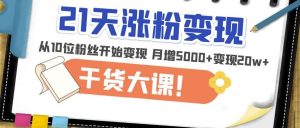 21天精准涨粉变现干货大课:从10位粉丝开始变现月增5000+变现20w+|淘骐网赚资源库