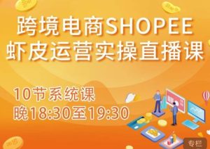 跨境电商Shopee虾皮运营实操直播课，从零开始学，入门到精通（10节系统课）|淘骐网赚资源库
