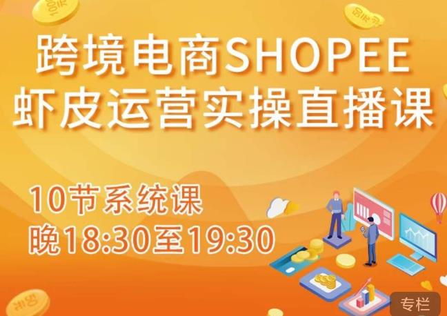 跨境电商Shopee虾皮运营实操直播课,从零开始学,入门到精通(10节系统课)|淘骐网赚资源库