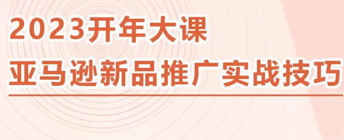 2023亚马逊新品推广实战技巧，线下百万美金课程的精简版，简单粗暴可复制，实操性强的推广手段|淘骐网赚资源库
