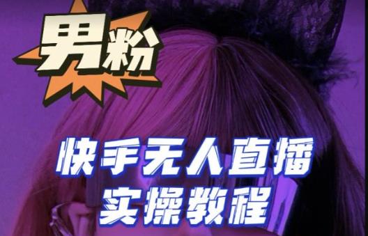 【男粉落地项目】零基础玩转男粉快手无人直播月入3w+,2023快手无人直播实操教程|淘骐网赚资源库