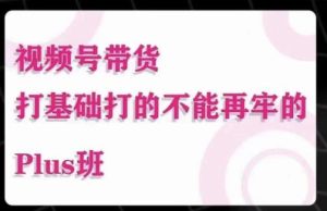 大播汇·视频号带货Puls班,视频号底层逻辑,起号自然流鱼塘等玩法|淘骐网赚资源库