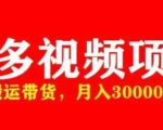 多多带货视频快速50爆款拿带货资格，搬运带货，月入30000【全套脚本+详细玩法】|淘骐网赚资源库