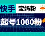 抖音快手三天起号涨粉1000宝妈粉丝的核心方法【详细玩法教程】|淘骐网赚资源库