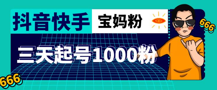 抖音快手三天起号涨粉1000宝妈粉丝的核心方法【详细玩法教程】|淘骐网赚资源库