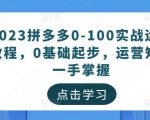 2023拼多多0-100实战运营教程,0基础起步,运营知识一手掌握|淘骐网赚资源库