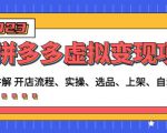 程哥拼多多虚拟变现项目:讲解开店流程-实操-选品-上架-自动发货等|淘骐网赚资源库