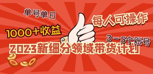 2023新细分领域带货计划:单号单日1000+收益不难,每人可操作3-5个账号|淘骐网赚资源库