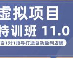 陆明明·虚拟项目特训班(10.0+11.0),0成本获取虚拟素材,0基础打造自动盈利店铺|淘骐网赚资源库