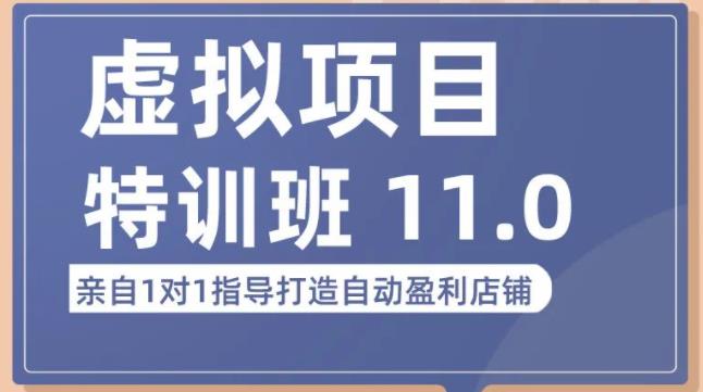 陆明明·虚拟项目特训班(10.0+11.0),0成本获取虚拟素材,0基础打造自动盈利店铺|淘骐网赚资源库