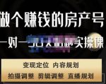 刘广标·同城房产号线上陪跑课，拍摄、剪辑、写文案、直播，做一个具有潜力价值的房产号|淘骐网赚资源库