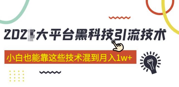 大平台黑科技引流技术,小白也能靠这些技术混到月入1w+(2022年的课程)|淘骐网赚资源库
