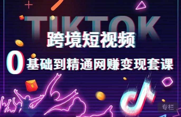 跨境短视频TIKTOK 0基础到精通网赚变现套课,跨境短视频独立站带货变现技巧|淘骐网赚资源库