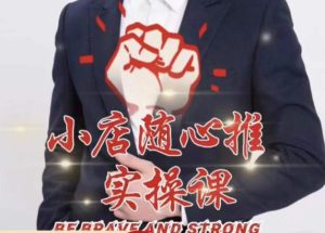 随心推线上课，小店随心推的投放逻辑，投放技巧，快速打标签|淘骐网赚资源库