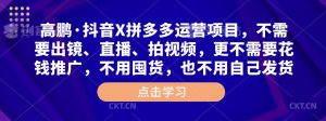 高鹏·抖音X拼多多运营项目,不需要出镜、直播、拍视频,不需要花钱推广,不用囤货,不用自己发货|淘骐网赚资源库