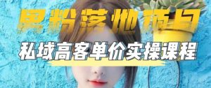 【男粉落地项目】零基础玩转男粉短视频转私域日产500+,2023男粉高客单价实操教程|淘骐网赚资源库