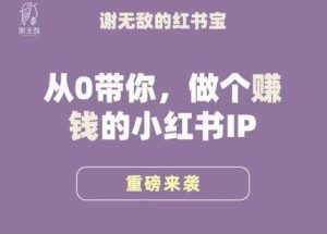 谢无敌·小红书运营大宝典，从0带你做个赚钱的小红书IP|淘骐网赚资源库