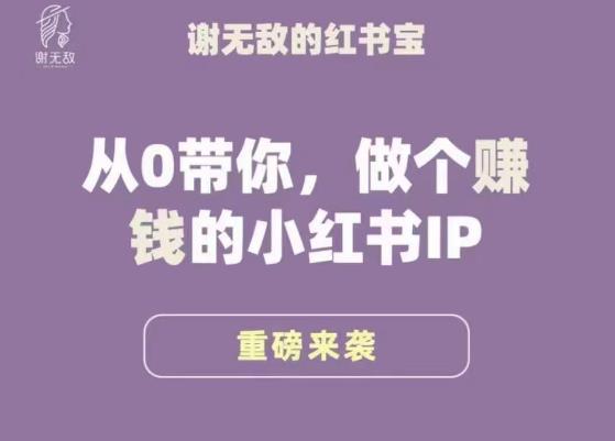 谢无敌·小红书运营大宝典，从0带你做个赚钱的小红书IP|淘骐网赚资源库