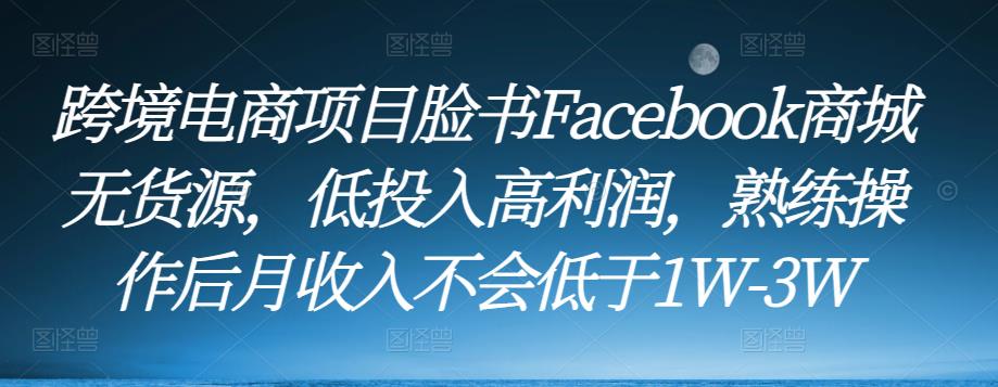 跨境电商项目脸书Facebook商城无货源,低投入高利润,熟练操作后月收入不会低于1W-3W|淘骐网赚资源库