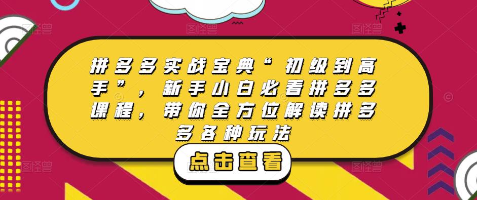 拼多多实战宝典“初级到高手”,新手小白必看拼多多课程,带你全方位解读拼多多各种玩法|淘骐网赚资源库