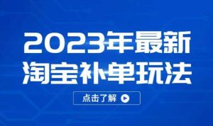 2023年最新淘宝补单玩法,18节课让教你快速起新品,安全不降权|淘骐网赚资源库