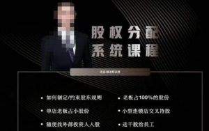 韩老师聊美业-美业股权分配系统课程,如何制定约束股东规则+老板占100%的股份+单店老板占小股份等|淘骐网赚资源库