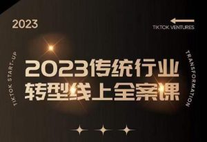 数据哥2023传统行业转型线上全案课,2023年传统行业如何转型线上,线上创业/传统转型避坑宝典|淘骐网赚资源库