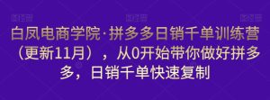 白凤电商学院·拼多多日销千单训练营,从0开始带你做好拼多多,日销千单快速复制(更新知2023年3月)|淘骐网赚资源库