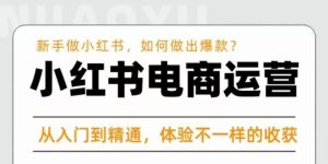 红商学院·小红书电商运营课,新手做小红书如何快速做出爆款,从入门到精通,体验不一样的收货|淘骐网赚资源库