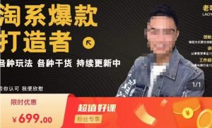 锋投老叶全店动销,淘系干货汇总,各种玩法,淘系爆款打造者|淘骐网赚资源库