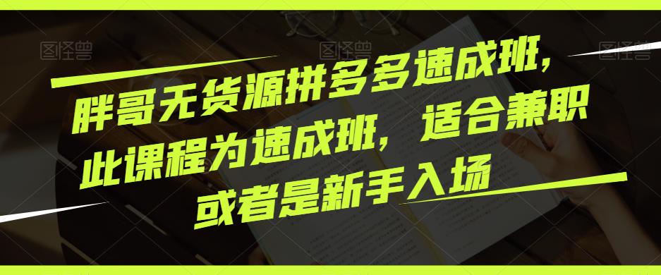 胖哥无货源拼多多速成班,此课程为速成班,适合兼职或者是新手入场|淘骐网赚资源库