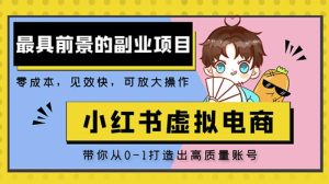 小红书蓝海大市场虚拟电商项目，手把手带你打造出日赚2000+高质量红薯账号|淘骐网赚资源库
