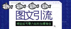 2023年价值1980的图文引流创业粉螺旋起好技术暴力起粉加爆微信|淘骐网赚资源库