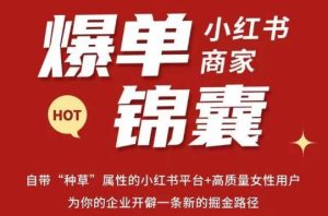 无畏·小红书商家爆单锦囊,掌握小红书各大规则,快速精准抢占行业和市场|淘骐网赚资源库
