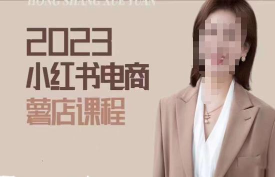 2023小红书电商课,新手小白从0~1玩转小红书薯店电商|淘骐网赚资源库