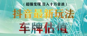 抖音最新无人直播变现直播车牌估值玩法项目，轻松日赚几百+【详细玩法教程】|淘骐网赚资源库