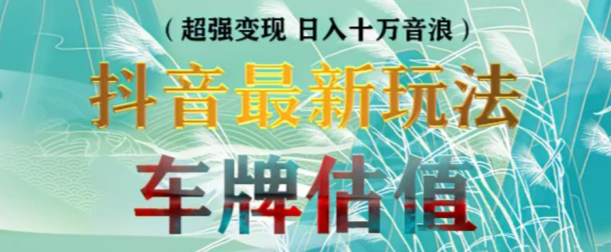 抖音最新无人直播变现直播车牌估值玩法项目，轻松日赚几百+【详细玩法教程】|淘骐网赚资源库