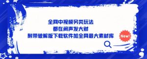 全网中视频另类玩法，都在闷声发大财，附带破解版下载软件加全网最大素材库|淘骐网赚资源库