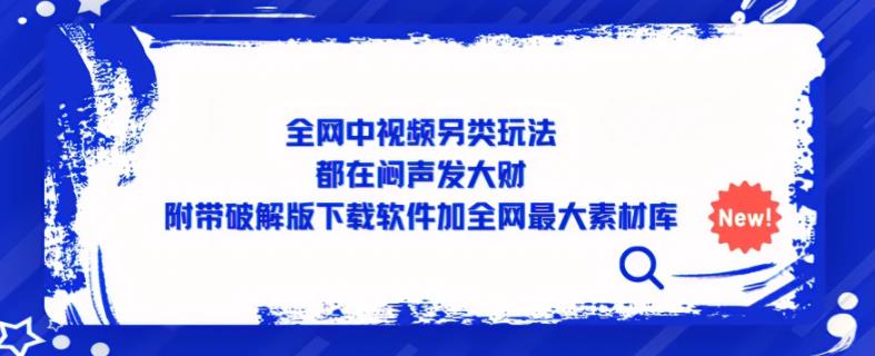 全网中视频另类玩法，都在闷声发大财，附带破解版下载软件加全网最大素材库|淘骐网赚资源库