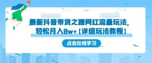 最新抖音带货之蹭网红流量玩法，轻松月入8w+【详细玩法教程】|淘骐网赚资源库