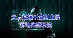 外面收费3980的无人直播引流创业粉落地实操玩法,单日引100+精准创业粉|淘骐网赚资源库