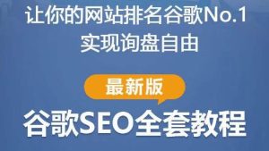 谷歌SEO实战教程:如何让你的网站在谷歌排名第一,内容从入门到高阶,适合个人及团队|淘骐网赚资源库
