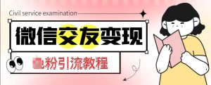 微信交友变现项目，吸引全网LSP男粉精准变现，小白也能轻松上手，日入500+|淘骐网赚资源库