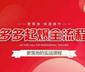 互力-多多新品打爆全流程，拼多多14天拉搜索自然流量，更落地·快速提升|淘骐网赚资源库