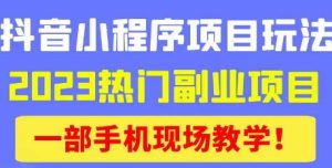 抖音小程序9.0新技巧,2023热门副业项目,动动手指轻松变现|淘骐网赚资源库