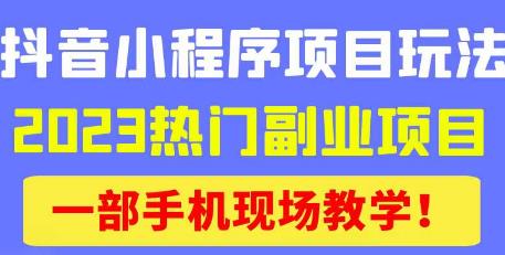 抖音小程序9.0新技巧,2023热门副业项目,动动手指轻松变现|淘骐网赚资源库
