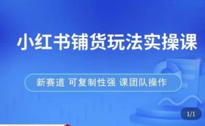 小红书铺货玩法实操课,流量大,竞争小,非常好做,新赛道,可复制性强,可团队操作|淘骐网赚资源库