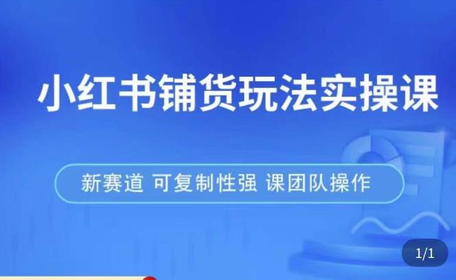 小红书铺货玩法实操课,流量大,竞争小,非常好做,新赛道,可复制性强,可团队操作|淘骐网赚资源库