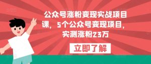 公众号涨粉变现实战项目课，5个公众号变现项目，实测涨粉23万|淘骐网赚资源库