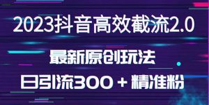 日引300+创业粉,独家抖音高效截流2.0玩法(价值1280)|淘骐网赚资源库